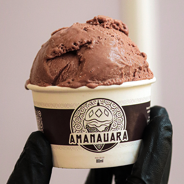 Sorvete Amanauara sabor CHOCOLATE ZERO AÇÚCAR