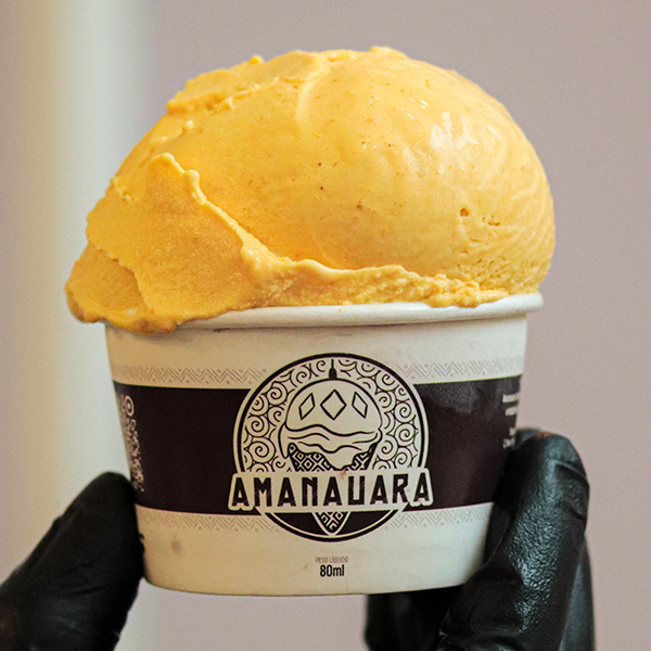 Sorvete Amanauara sabor TUCUMÃ